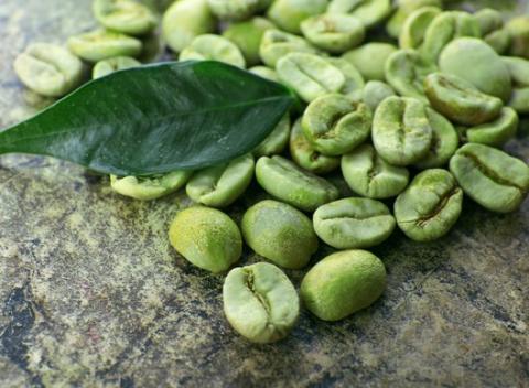 Jesenná únava číha za rohom, no vy sa jej môžete s úsmevom vyhnúť. Stačí, ak si každé ráno zalejete šálku lahodnej zelenej kávy.  