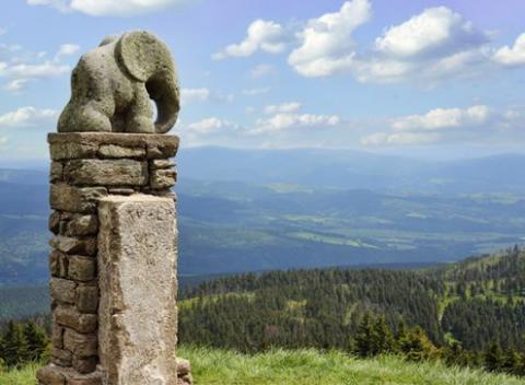 Dovolenka na čerstvom vzduchu v Jeseníkoch má blahodarný vplyv na celý organizmus. Navyše si tu pochutíte na skvelom jedle.