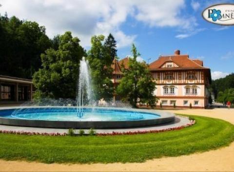 Oddýchnite si v pokojnom prostredí moravských kúpeľov Luhačovice a ubytujte sa v penzióne Pomněnka len kúsok od kúpeľnej kolonády.  