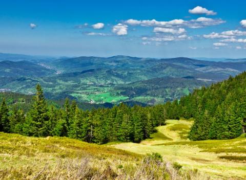 Načerpajte sily v lone nádhernej slovenskej prírody. Ubytovanie a relax vo wellness penzióne v Sihelnom, s polpenziou, dieťa do 2r zadarmo! 