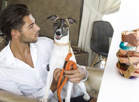 Dizajnový obojok alebo vôdzka od Hound pre náročných chlpáčov. Slovenská ručná výroba zaručuje kvalitné prevedenie.