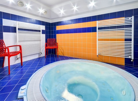 Pálava medzi vinicami a pivnicami vo Wellness Hoteli Iris *** s vírivkou, zábalom a polpenziou.