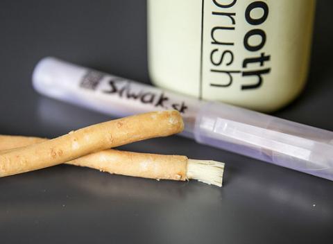 Zdravé, čisté a biele zuby s prírodnou zubnou kefkou Siwak z koreňov stromu Salvadory perskej. 100 % prírodný produkt.