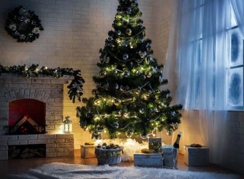 Domáca pohoda počas Vianoc je jednoducho na nezaplatenie. S novým vianočným stromčekom bude táto pohoda ešte oveľa krajšia. 
