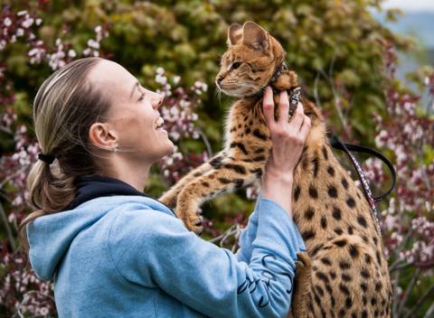 V každom z nás drieme šelma. Príďte si oddýchnuť a zabaviť sa do Wild Parku vo Veľkej Lomnici so skutočnými šelmami. 