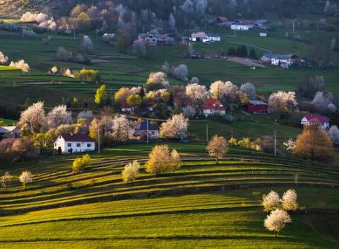 Rodinná dovolenka pre 8 osôb na Hriňovských Lazoch v Chalupe na Zelenej lúke.
