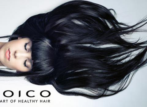 Krásne, silné a zdravé vlasy vďaka značkovej luxusnej vlasovej kozmetike JOICO a k tomu jedinečný a profesionálny strih pre dámy.
