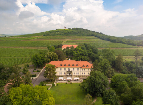 Zámocký hotel Gróf Degenfeld **** vo vinárskej oblasti: so saunou, degustáciou vína a polpenziou.