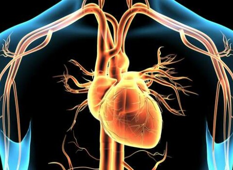 Vyšetrenie ciev artériografom – prevencia srdcového infarktu a mozgovej príhody.