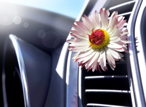 Dezinfekcia, servis a doplnenie klimatizácie. Nechajte si u profesionálov pripraviť vaše auto na leto.