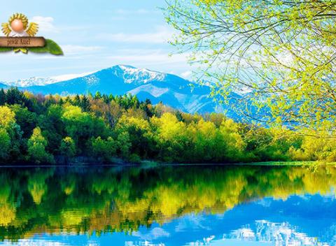 Užite si skvelý relax s celou rodinou. Pokojná dovolenka v súkromí Privátu Aniel na Liptove so vstupmi do aquaparku Tatralandia. 