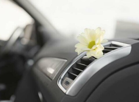 Servis klimatizácie účinným ozónom v Ružinove. Ničí baktérie, plesne, vírusy a iné organizmy.