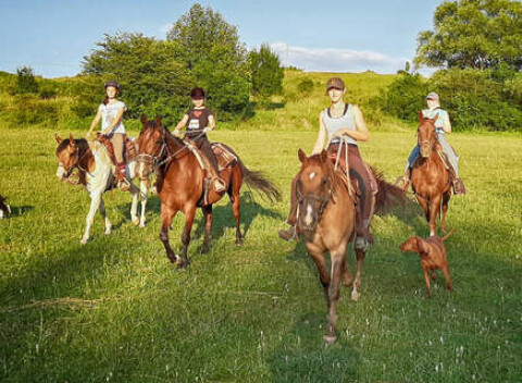 Letný detský tábor s jazdou na koňoch, výletmi, splavmi a zábavou v aquaparku.