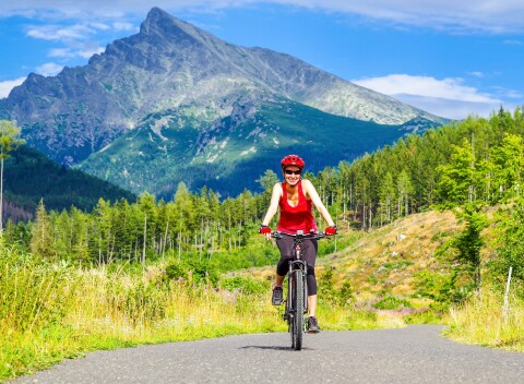 Vysoké Tatry pri Starom Smokovci vo Vile Hana s polpenziou a zľavou do Aquacity Poprad a termálov Vrbov.