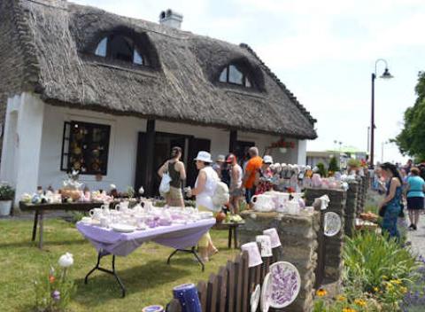 Skvelý zájazd s množstvom zážitkov! Spoznajte maďarské mestá Tihány a Pannonhalma, kde okrem pamiatok uvidíte voňavý Levanduľový festival. 