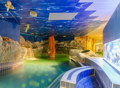 Hunguest Hotel Aqua-Sol **** priamo prepojený s termálnymi kúpeľmi + wellness a polpenzia.