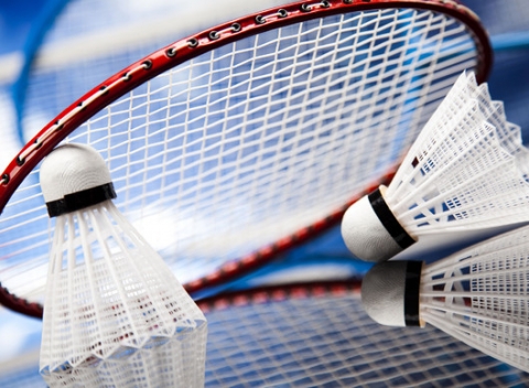 Hodinový vstup na bedminton, vznešený a dynamický šport s operenou loptičkou.