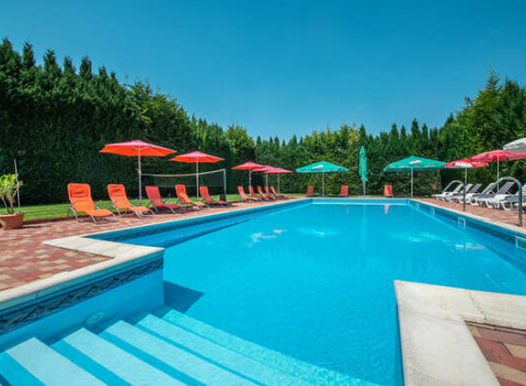 Neobmedzený wellness pobyt za super cenu a s dieťaťom zdarma v penzióne Viktória.