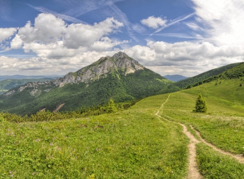 Objavte spolu s vašimi najbližšími krásy nedotknutej prírody Malej Fatry. Dovolenka v komfortnom Hoteli Smrečina*** s výbornou polpenziou. 