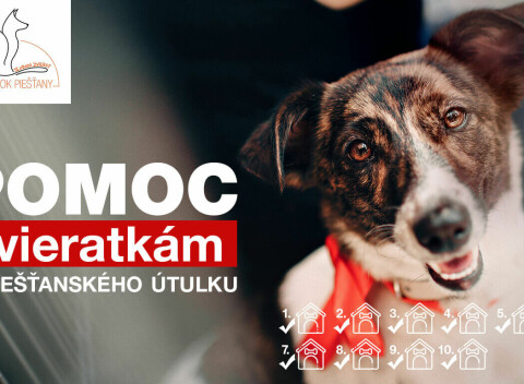 Zbierame sa psíkom v útulku na 5 veľkých slnečníkov a 3 tienidlá  - pomôžete aspoň symbolicky aj vy?