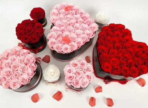 Luxusné boxy z tých najkrajších živých ruží, ktoré vydržia až 3 roky.