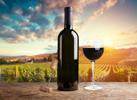 Znojmo v Hoteli U Divadla *** s polpenziou, vínom, vstupom na Radničnú vežu a zľavou do aquaparku.