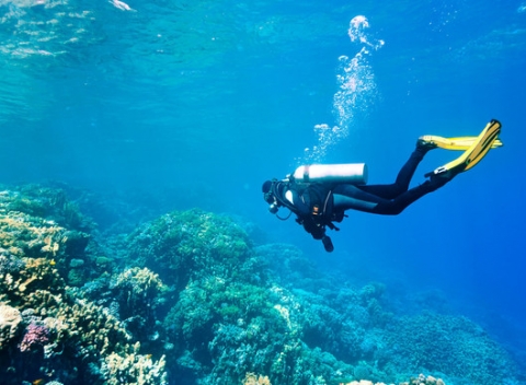 Jedinečný potápačský kurz PADI v Dahabe v Egypte so slovenským/českým inštruktorom. 