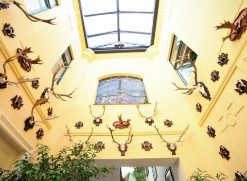 Poľovnícky zámok Topoľčianky – podmanivé ubytovanie v apartmánoch s vínom a raňajkami.