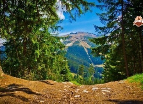 Rodinná dovolenka na Liptove s ubytovaním, polpenziou a zľavami do termálov v hoteli Smrek.