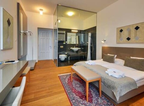 Relax priamo v centre mesta s polpenziou v historickom hoteli Lev*** s možnosťou využitia wellness.