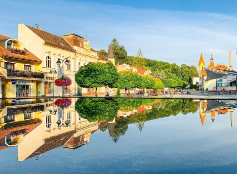 Pobyt v krásnej prírode pri Trenčianskych Tepliciach: Hotel Dynamic *** s wellness + polpenzia..