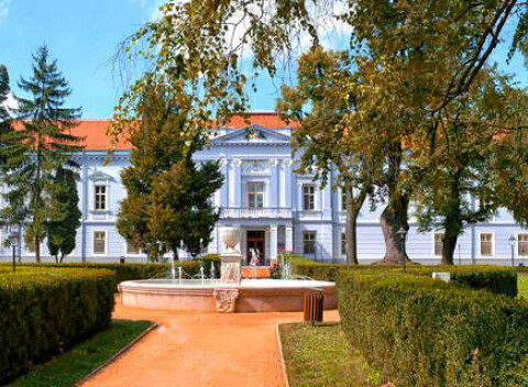 Pobyt s wellness v historickom Kaštieli Mojmírovce**** len 5 min. autom od ThermalParku Nitrava.