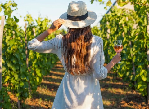Znojmo v Hoteli U Divadla *** s polpenziou, vínom a parádnymi zľavami - posedenie v pivnici, termály i bowling.