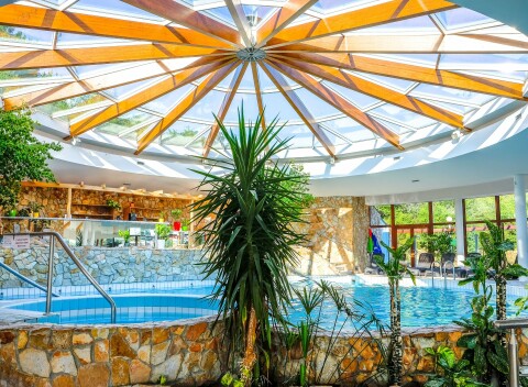 Wellness pobyt v Hoteli Flóra s bazénmi neobmedzene, procedúrami a plnou penziou.