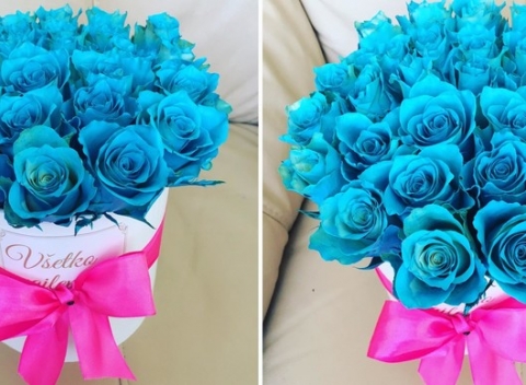 Kytička mini modrých ruží s donáškou priamo domov. Záplava kvetín, ktorá poteší každú ženu.