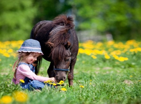 S koníkmi je život krajší – denný alebo pobytový týždenný tábor pre deti.