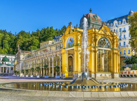 Pobyt v Mariánskych Lázňach v Hoteli Flora *** s bazénom, polpenziou a 20 % zľavou na procedúry.