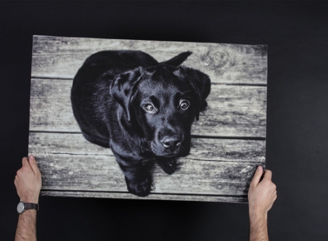 So spomienkou na stene je život krajší. Plátno s vytlačenou fotografiou v rôznych veľkostiach. 