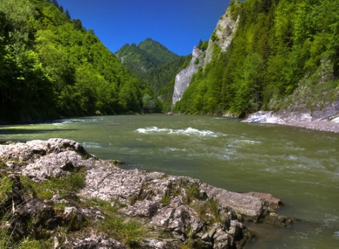Pohodlie, oddych, relax a zábava, v penzióne Daniella s polpenziou v nádherných Pieninách.