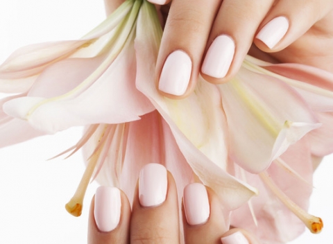 Upravené a dokonalé nechty vďaka manikúre s gél lakom alebo gélovým nechtom.