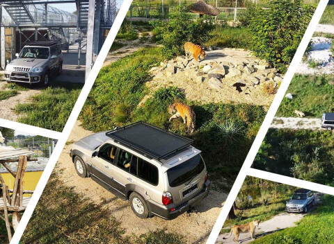 Jedinečný Safari výlet na Slovensku v Malkia parku. Zažite poriadnu divočinu kúsok za Bratislavou.