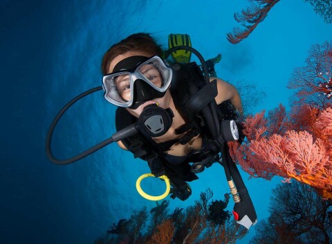 Vyskúšajte si, aké je to dýchať pod vodnou hladinou. Potápanie na skúšku - Discover Scuba Diving.