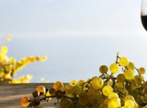 Vychutnajte si dovolenku na Južnej Morave v útulnom penzióne u Huberta s polpenziou a fľašou vína.