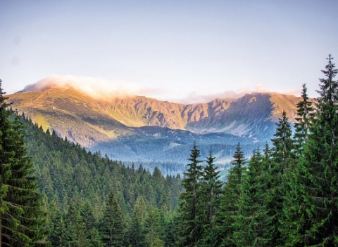 Čarovná jeseň v hoteli Repiská v izbe s krásnym výhľadom na Nízke Tatry, polpenziou a wellness.