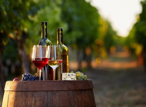 Pobyt s degustáciou a neobmedzenou konzumáciou vína vo Vinárstve Lintner na Znojemsku.