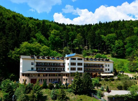 Víkendový pobyt s raňajkami a wellness v hoteli Javorna uprostred prírody.