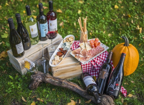 Degustácia vín a antipasti v Primitivo. Ochutnajte to naj z malých talianskych vinárstiev.