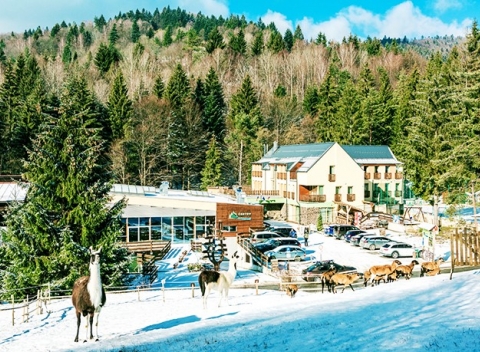 Rodinná wellness dovolenka v prekrásnej prírode Javorníkov vo Wellness & Spa Hotel Čertov***.