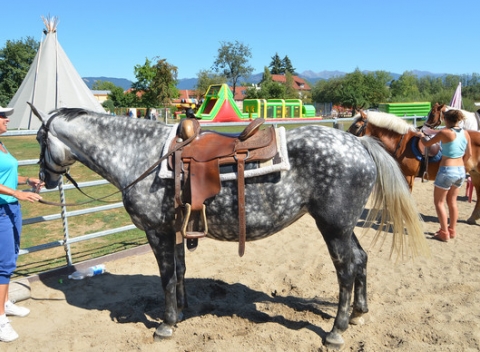 Základný jazdecký kurz alebo 45-minútová jazda na koni vo Villa Betula resorte.