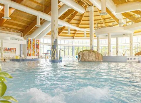 Celodenné vstupy do bazénového a saunového sveta Wellness Hotela Patince****.